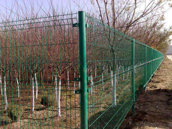 果园护栏网，果园围栏网，果园防护网